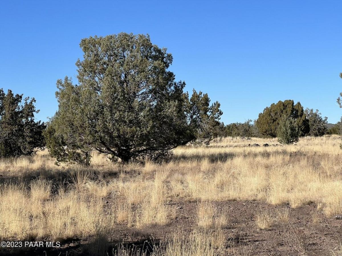 Picture of Residential Land For Sale in Ash Fork, Arizona, United States