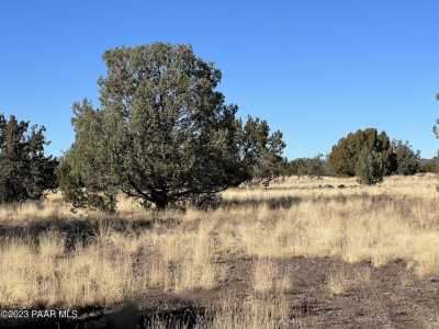 Residential Land For Sale in Ash Fork, Arizona