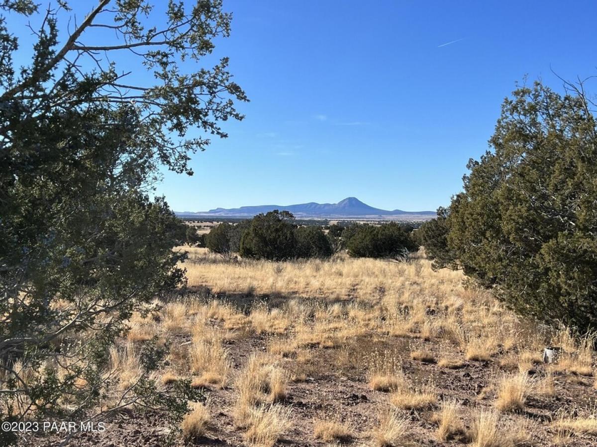 Picture of Residential Land For Sale in Ash Fork, Arizona, United States