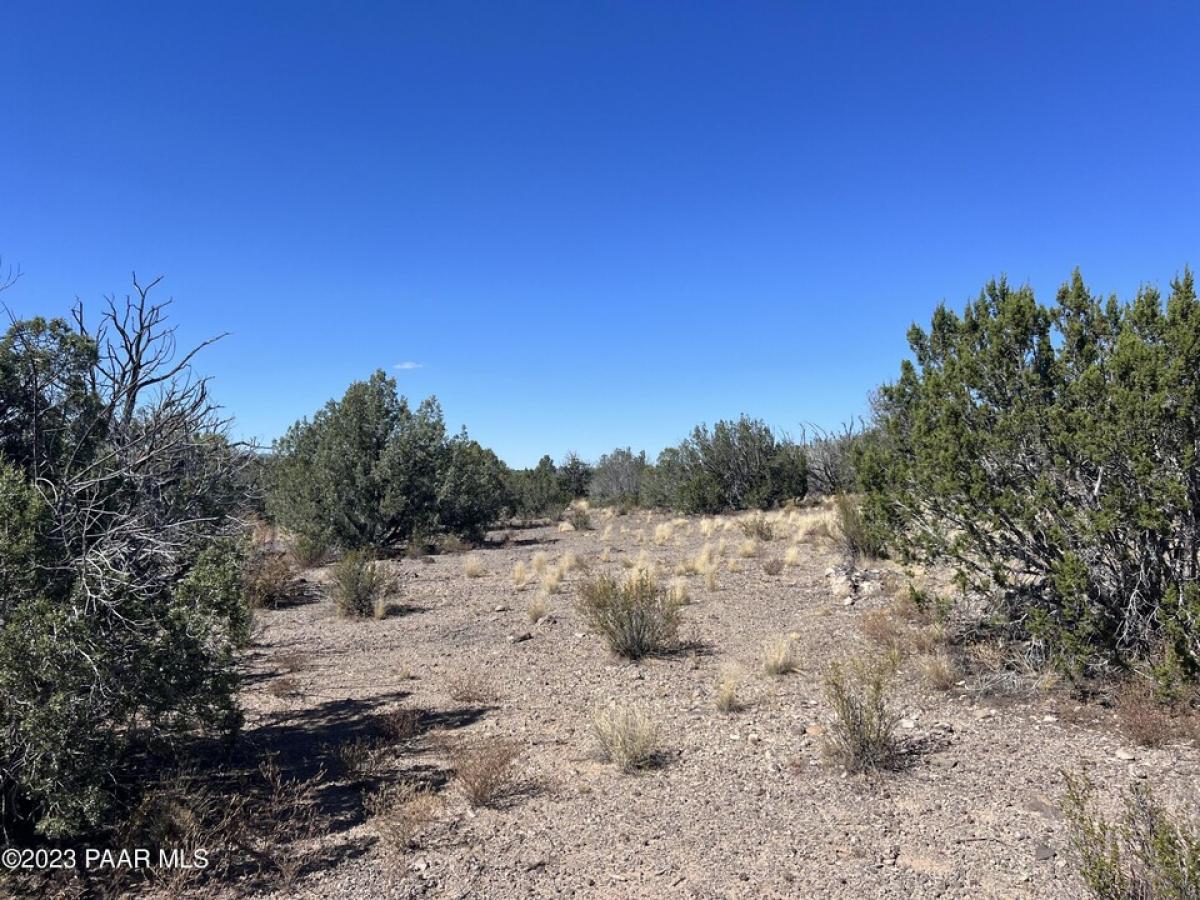 Picture of Residential Land For Sale in Ash Fork, Arizona, United States