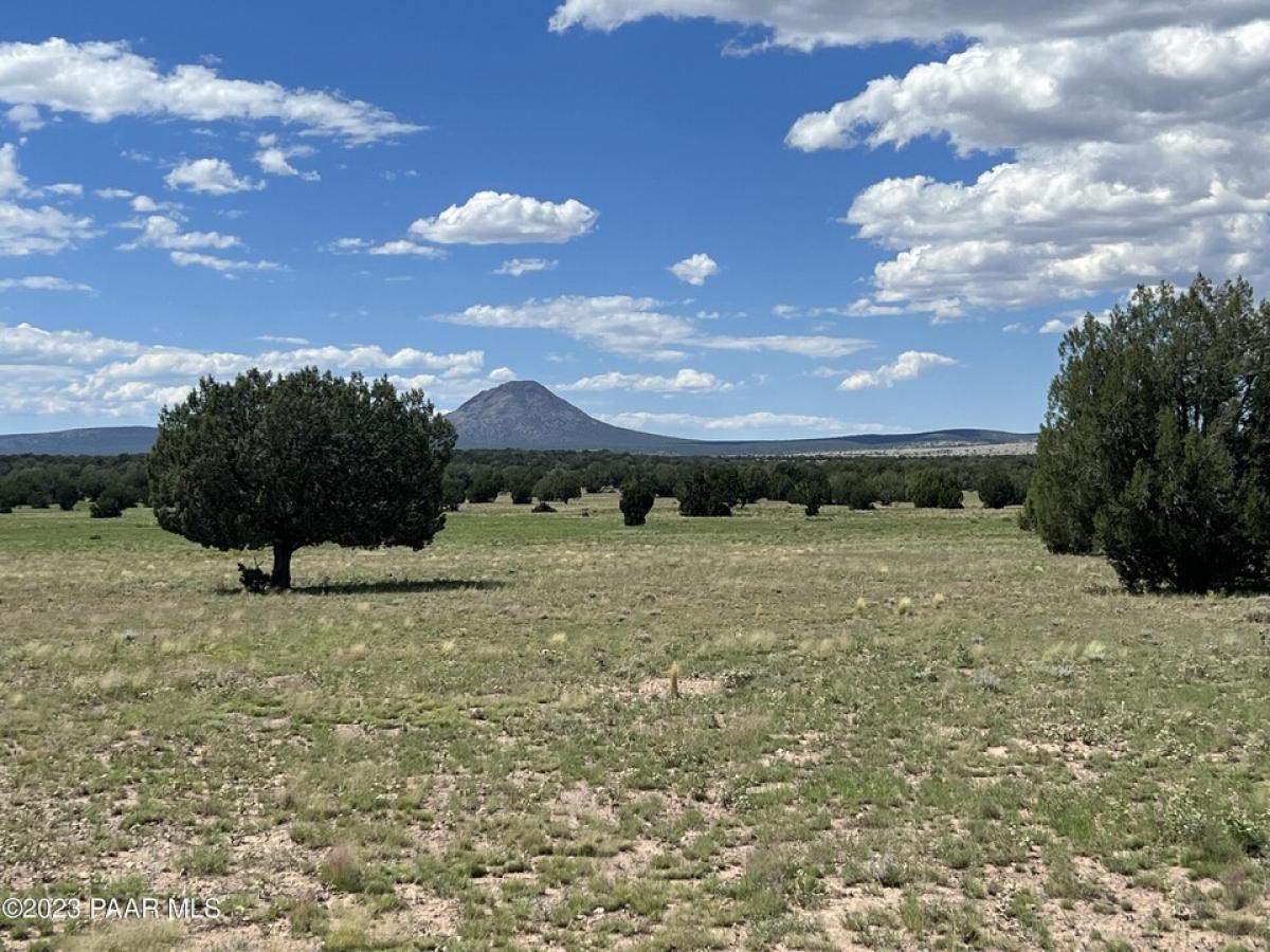 Picture of Residential Land For Sale in Ash Fork, Arizona, United States