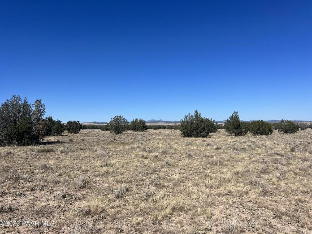 Picture of Residential Land For Sale in Ash Fork, Arizona, United States