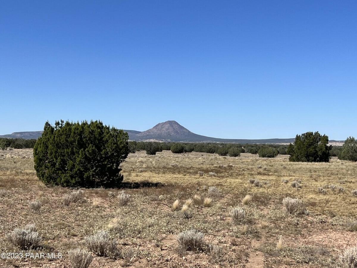 Picture of Residential Land For Sale in Ash Fork, Arizona, United States