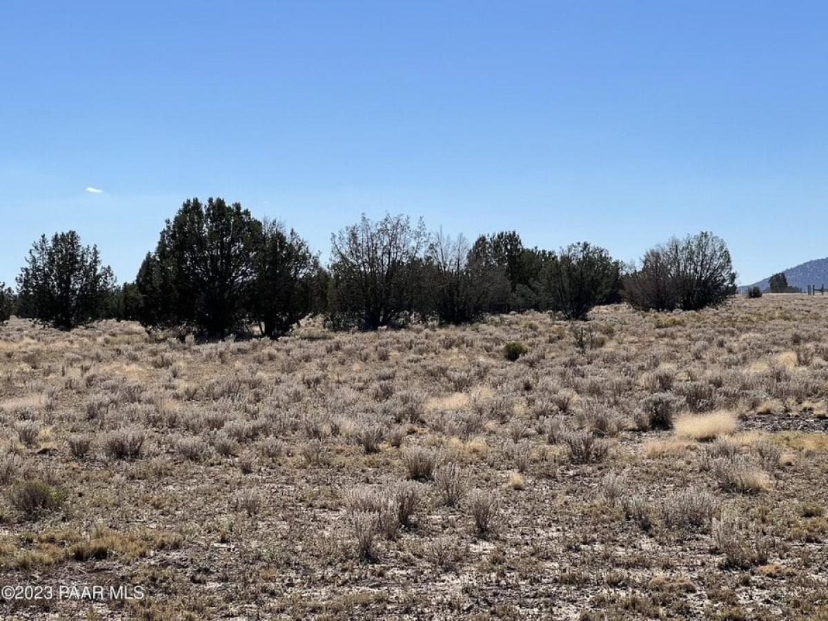 Picture of Residential Land For Sale in Ash Fork, Arizona, United States