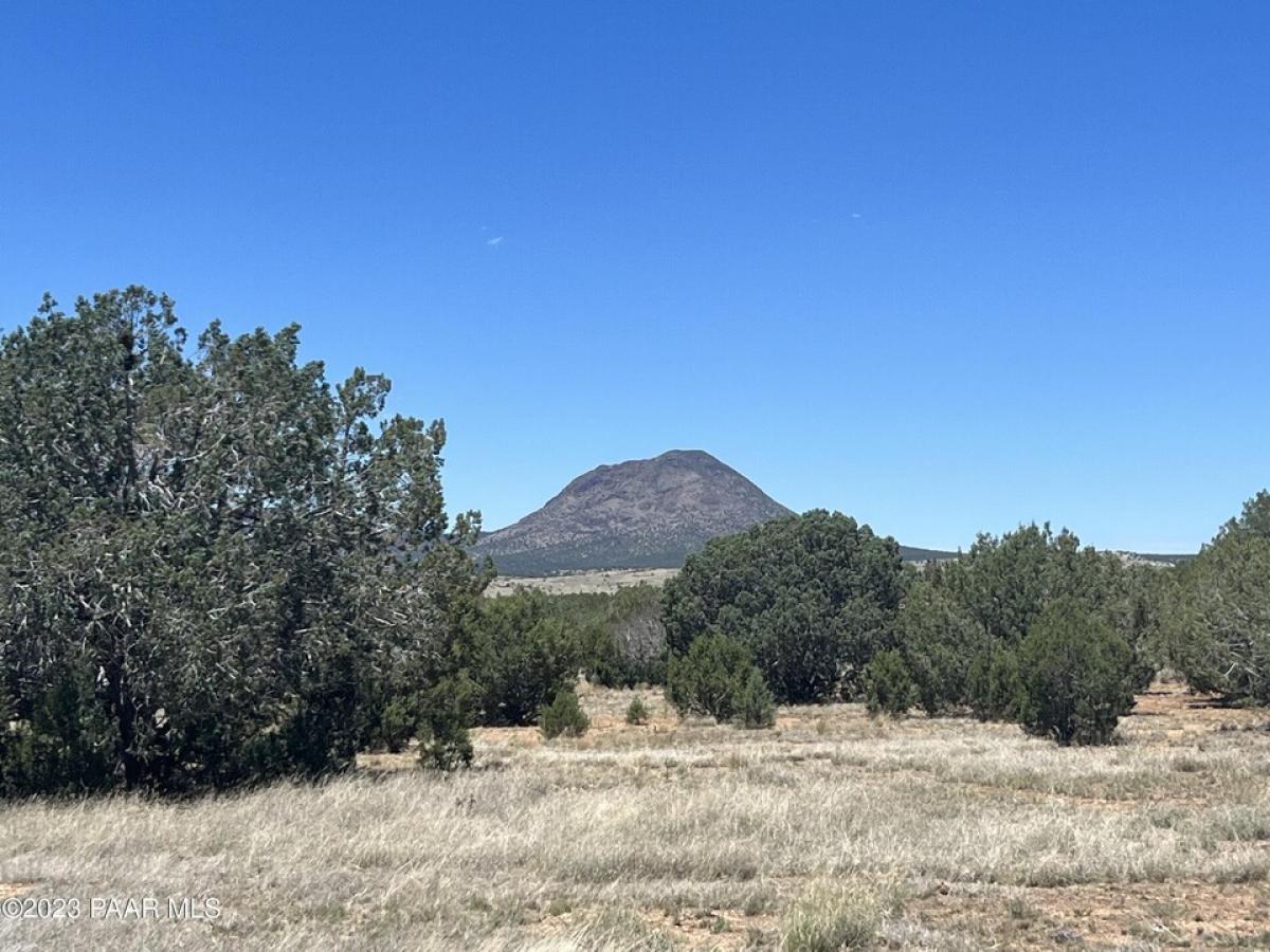 Picture of Residential Land For Sale in Ash Fork, Arizona, United States