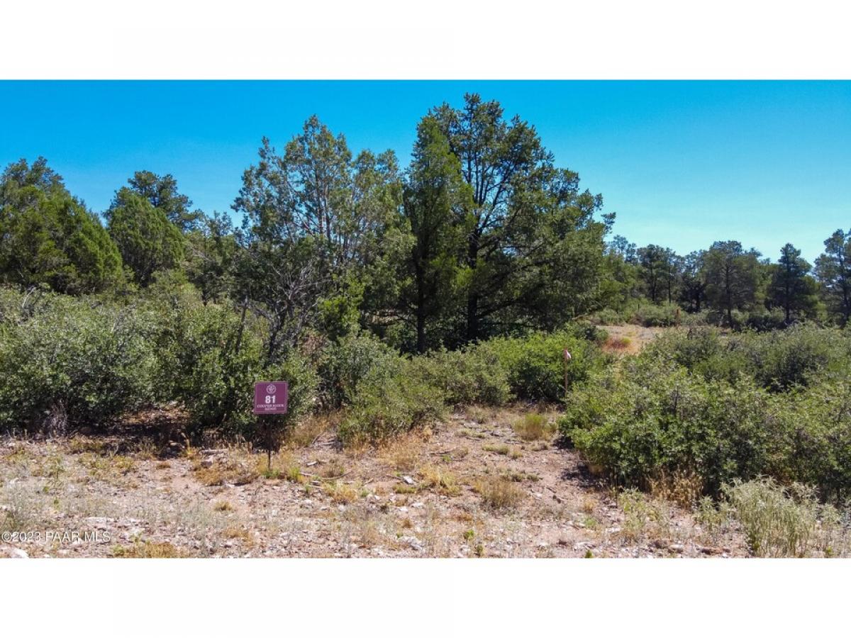 Picture of Residential Land For Sale in Prescott, Arizona, United States