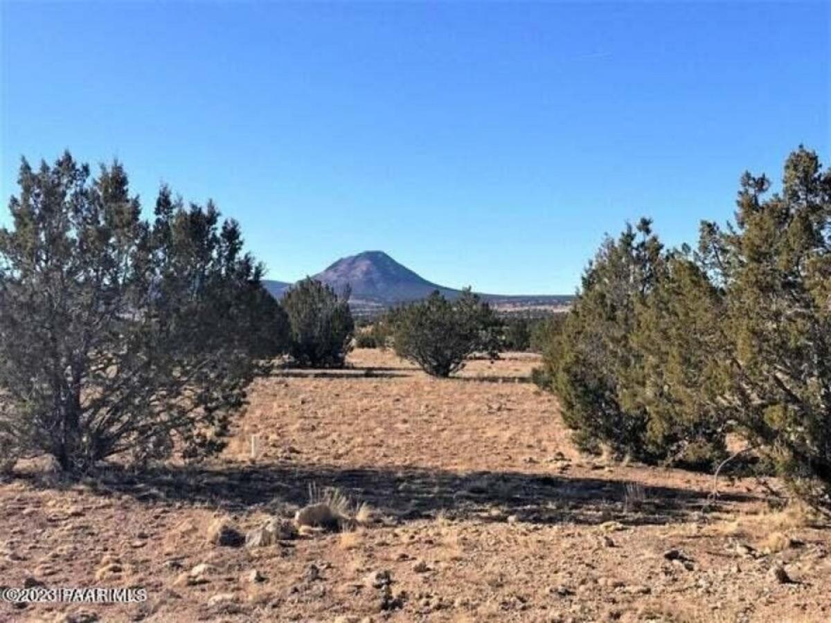 Picture of Residential Land For Sale in Ash Fork, Arizona, United States