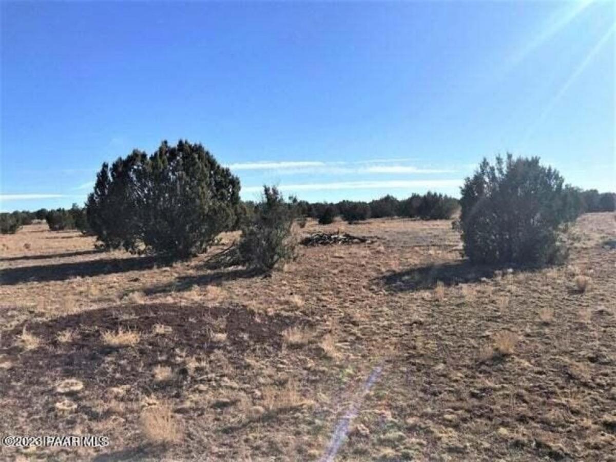 Picture of Residential Land For Sale in Ash Fork, Arizona, United States