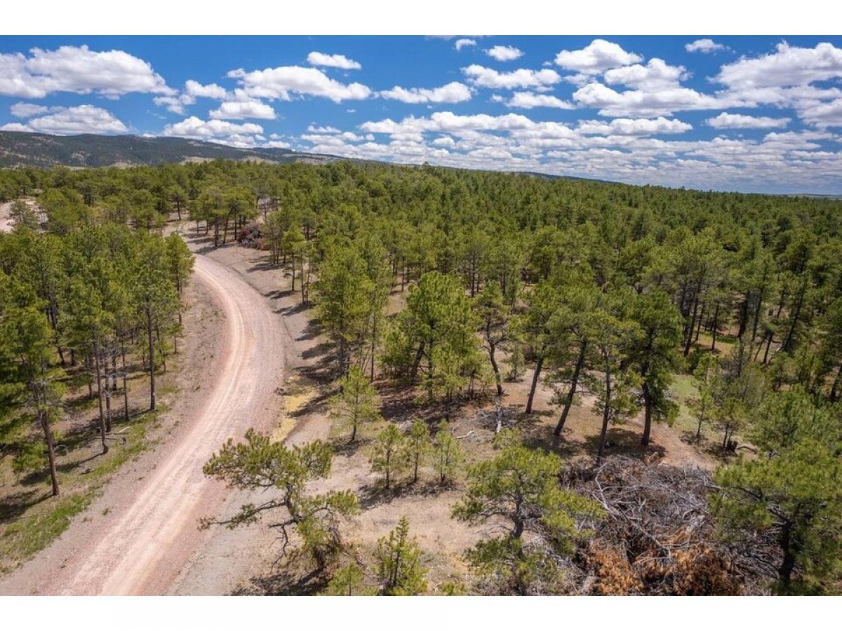 Picture of Residential Land For Sale in Newcastle, Wyoming, United States