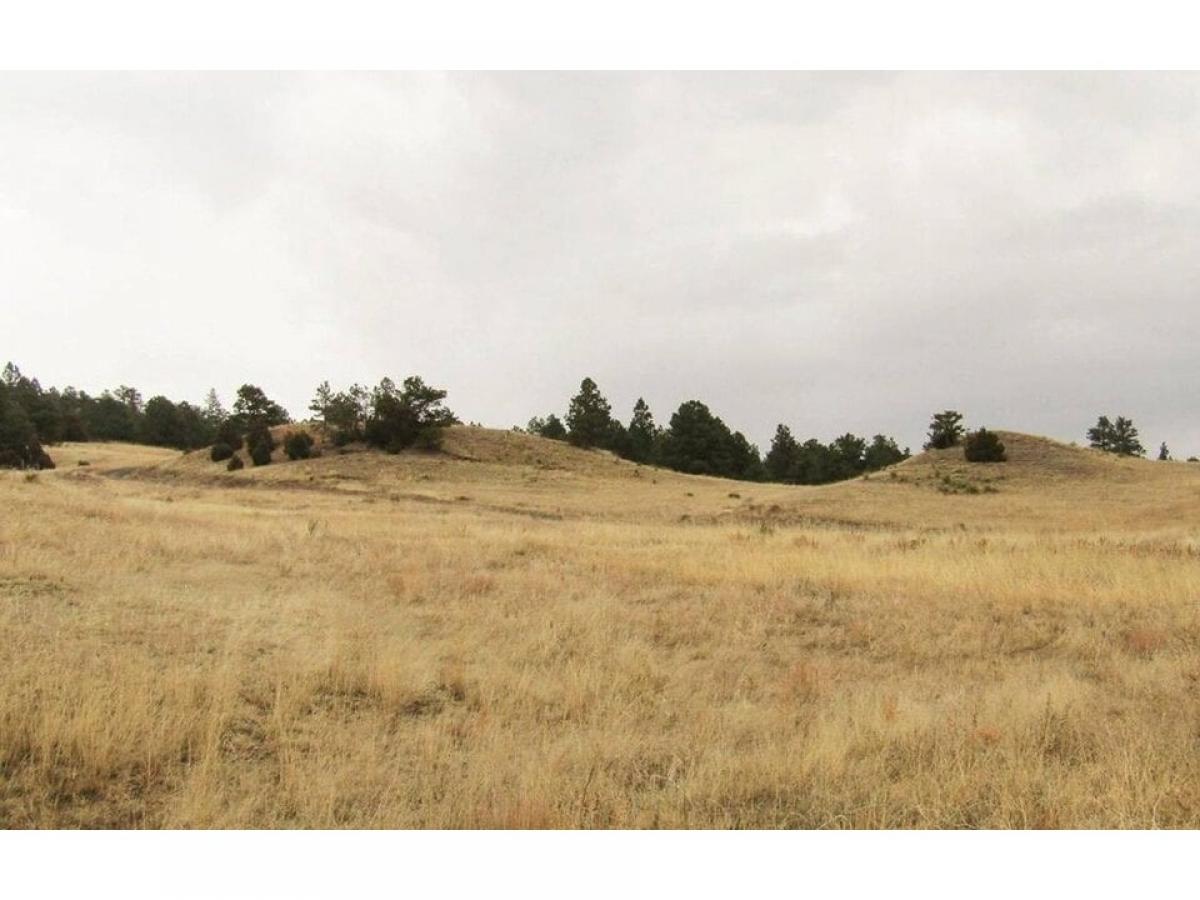 Picture of Residential Land For Sale in Fort Laramie, Wyoming, United States