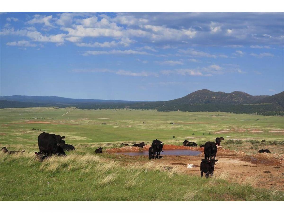 Picture of Residential Land For Sale in Sundance, Wyoming, United States