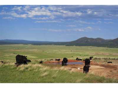 Residential Land For Sale in Sundance, Wyoming