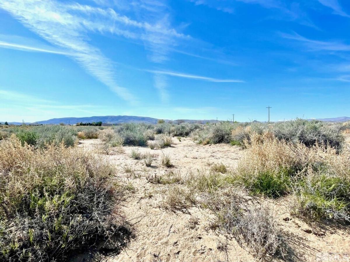 Picture of Residential Land For Sale in Silver Springs, Nevada, United States