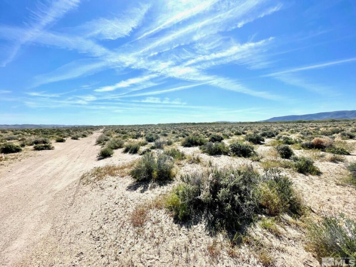 Picture of Residential Land For Sale in Silver Springs, Nevada, United States