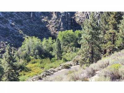 Residential Land For Sale in Carson City, Nevada