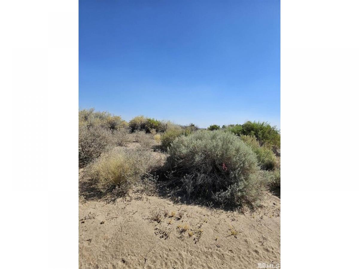 Picture of Residential Land For Sale in Fallon, Nevada, United States