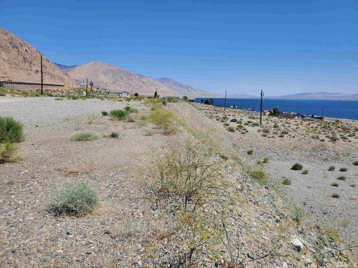 Picture of Residential Land For Sale in Walker Lake, Nevada, United States