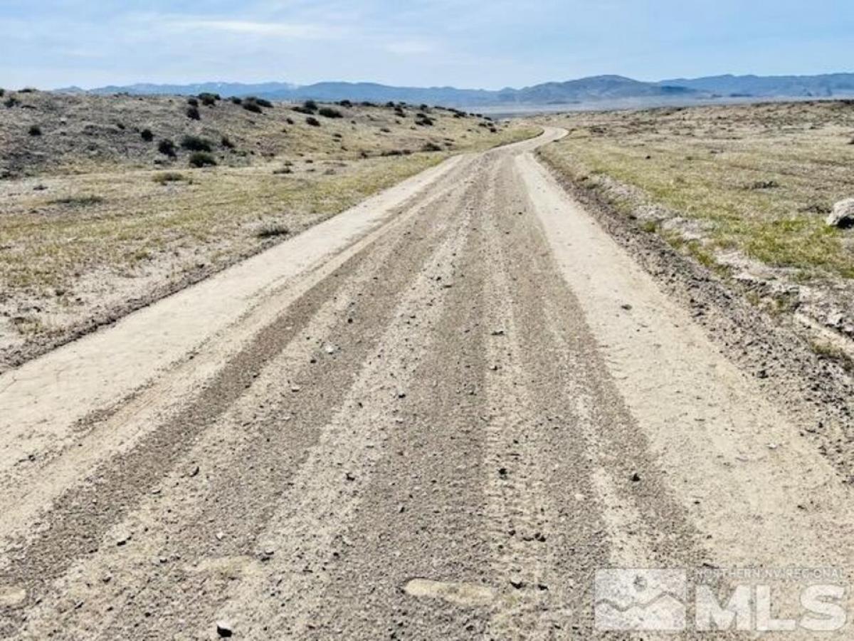 Picture of Residential Land For Sale in Lovelock, Nevada, United States