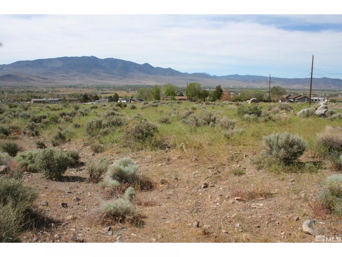 Picture of Residential Land For Sale in Dayton, Nevada, United States