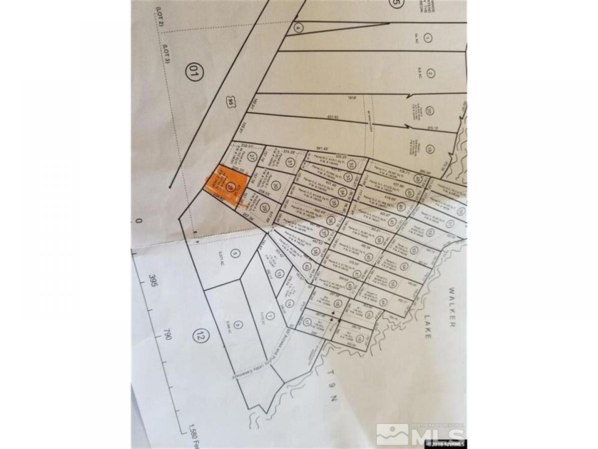 Picture of Residential Land For Sale in Walker Lake, Nevada, United States