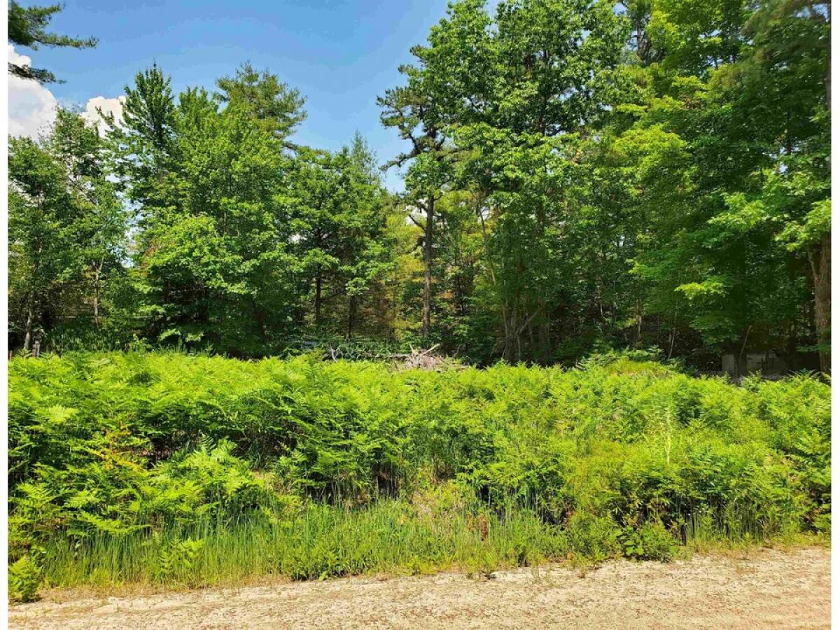 Picture of Residential Land For Sale in Freedom, New Hampshire, United States