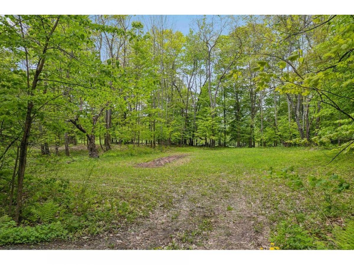 Picture of Residential Land For Sale in Barnard, Vermont, United States