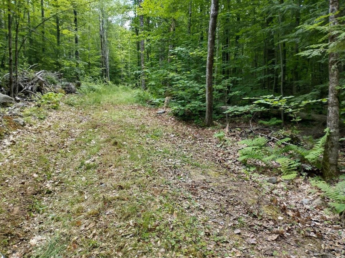 Picture of Residential Land For Sale in Sandwich, New Hampshire, United States