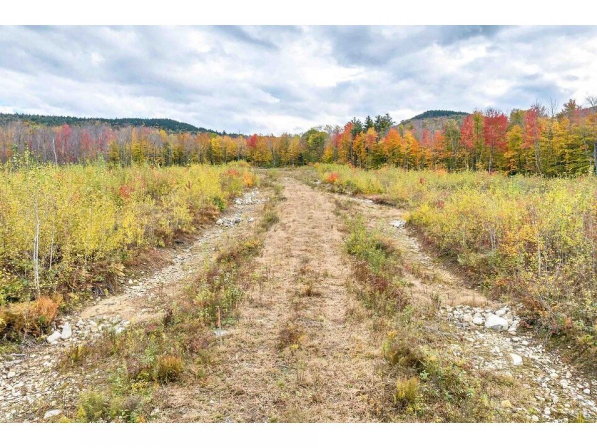 Picture of Residential Land For Sale in Gilford, New Hampshire, United States