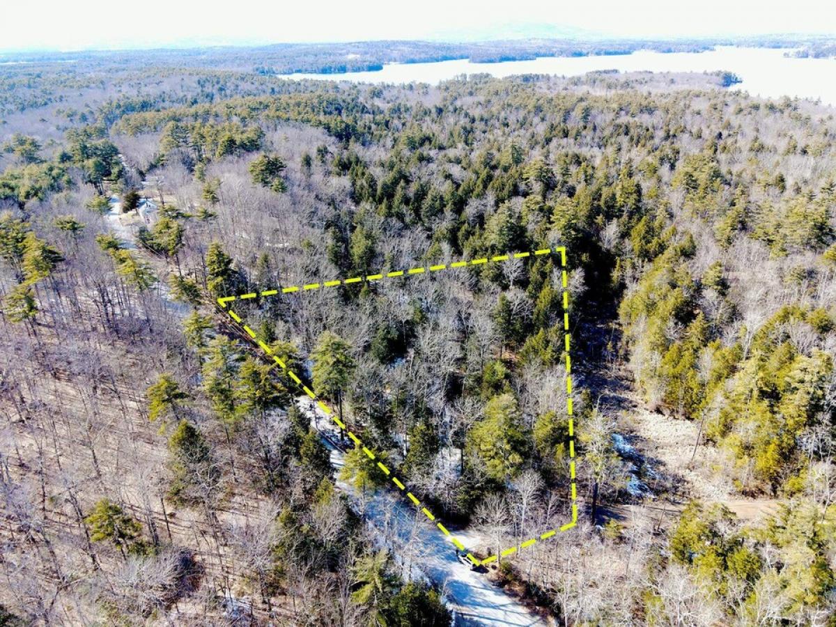 Picture of Residential Land For Sale in Moultonborough, New Hampshire, United States