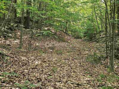 Residential Land For Sale in 