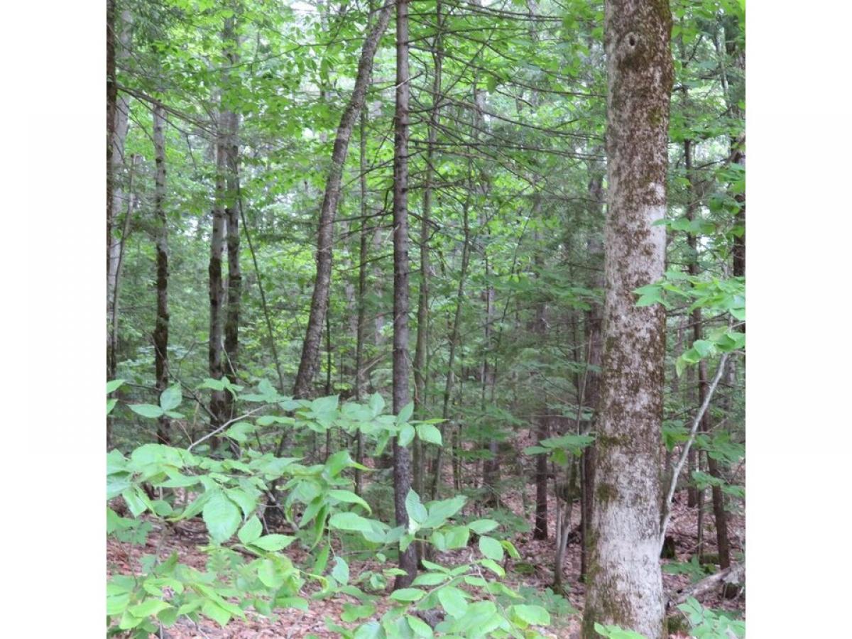 Picture of Residential Land For Sale in Sandwich, New Hampshire, United States