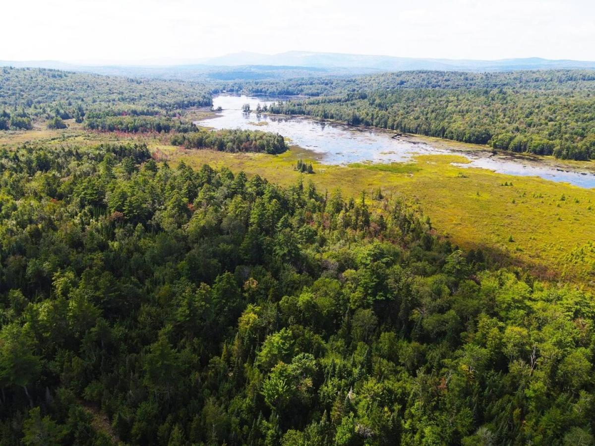 Picture of Residential Land For Sale in Springfield, New Hampshire, United States