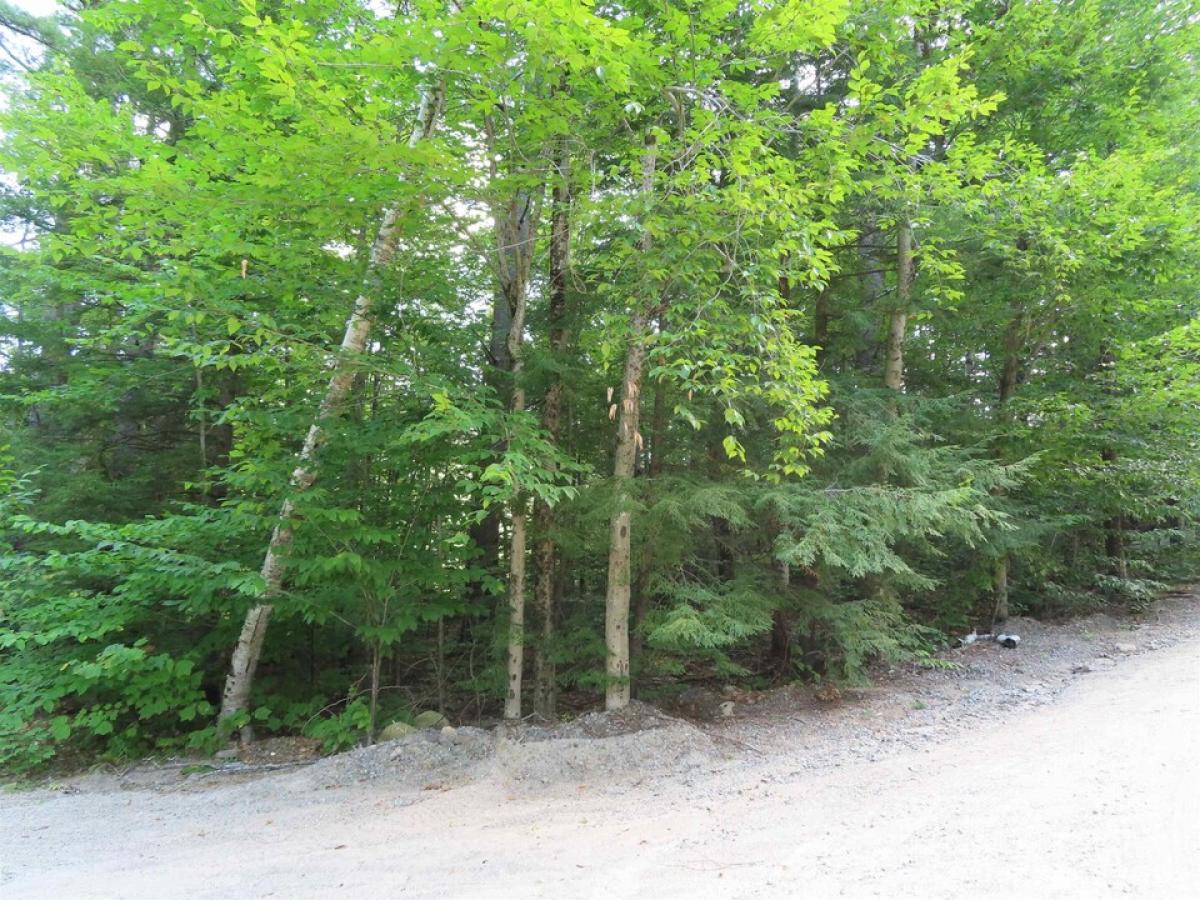 Picture of Residential Land For Sale in Alton, New Hampshire, United States