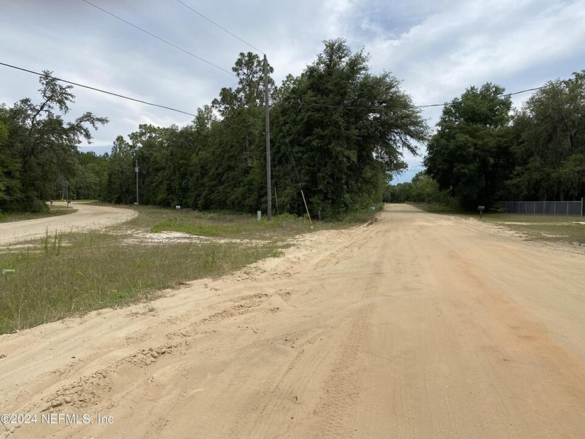 Picture of Residential Land For Rent in Interlachen, Florida, United States