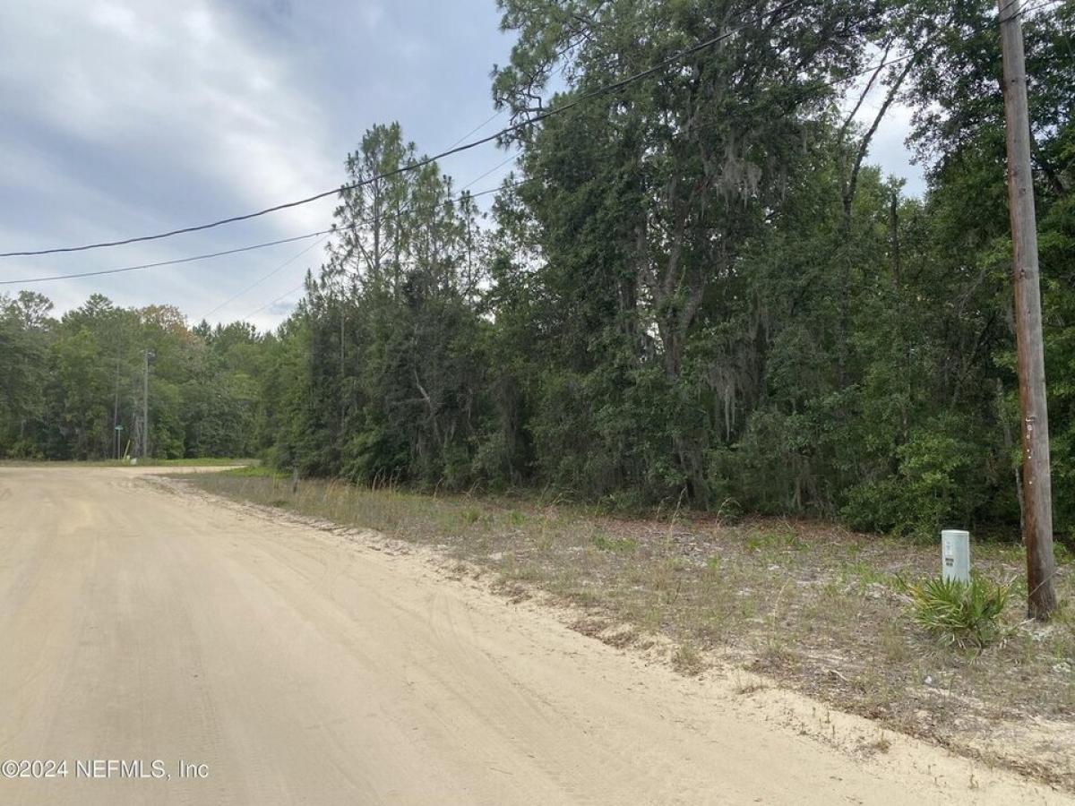 Picture of Residential Land For Rent in Interlachen, Florida, United States