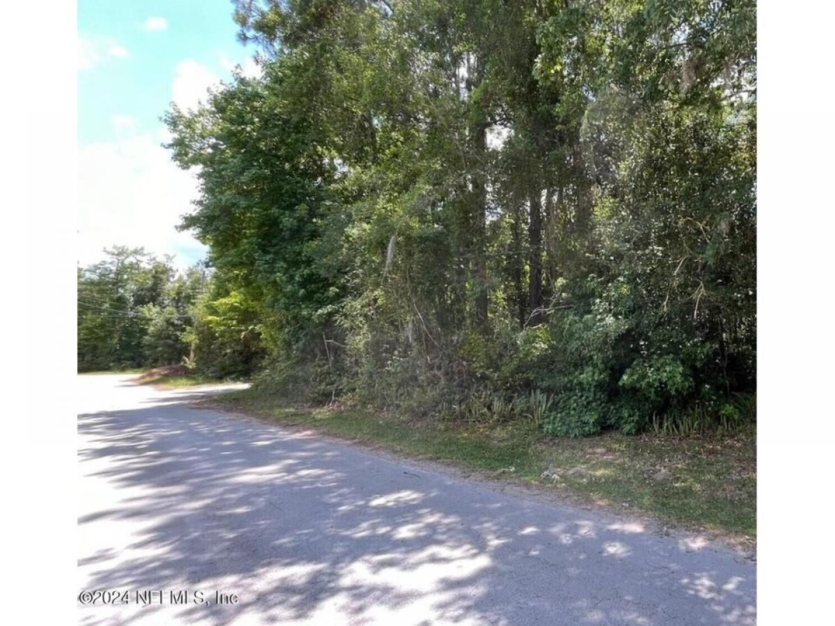 Picture of Residential Land For Sale in Fleming Island, Florida, United States