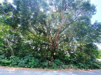 Residential Land For Sale in Crescent City, Florida