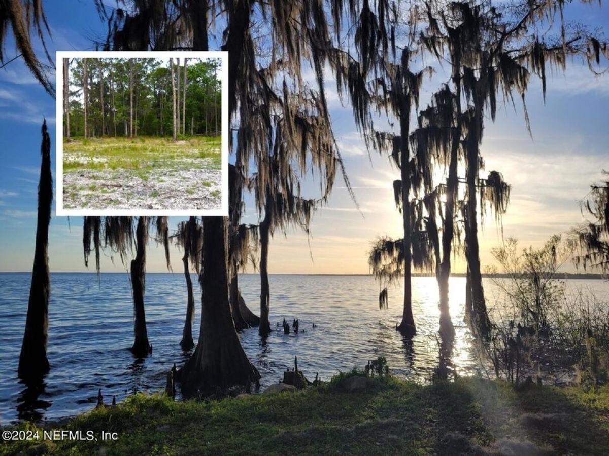 Picture of Residential Land For Sale in Georgetown, Florida, United States