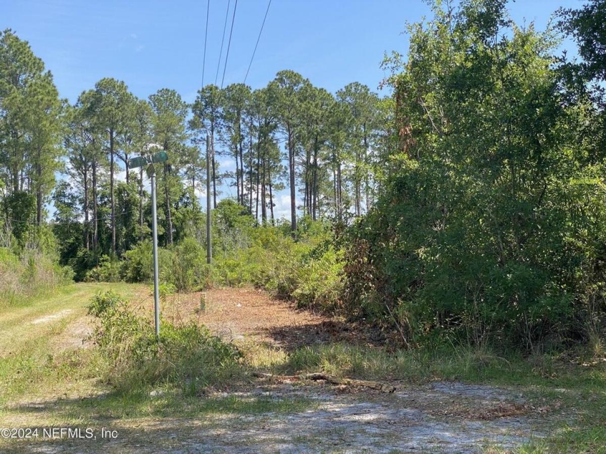 Picture of Residential Land For Sale in Crescent City, Florida, United States