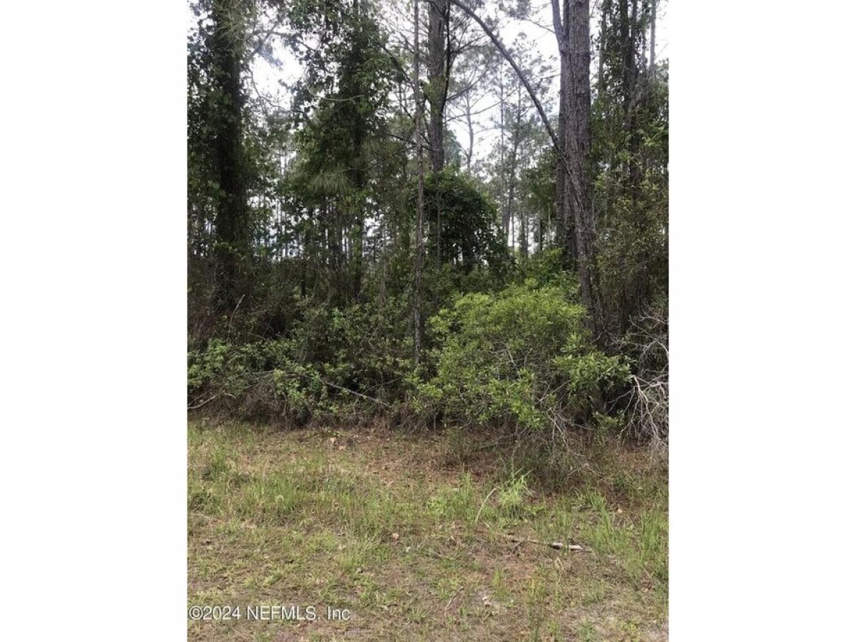 Picture of Residential Land For Sale in Georgetown, Florida, United States