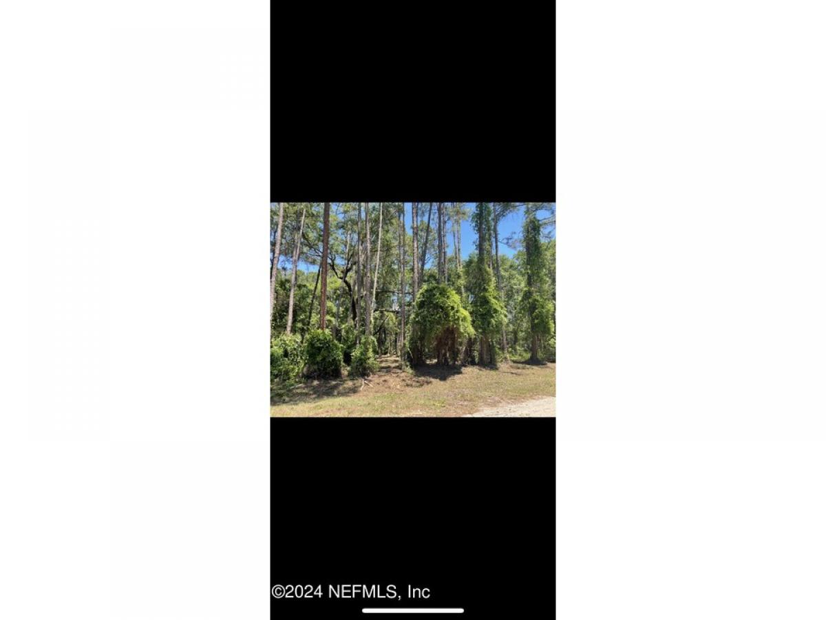 Picture of Residential Land For Sale in Georgetown, Florida, United States