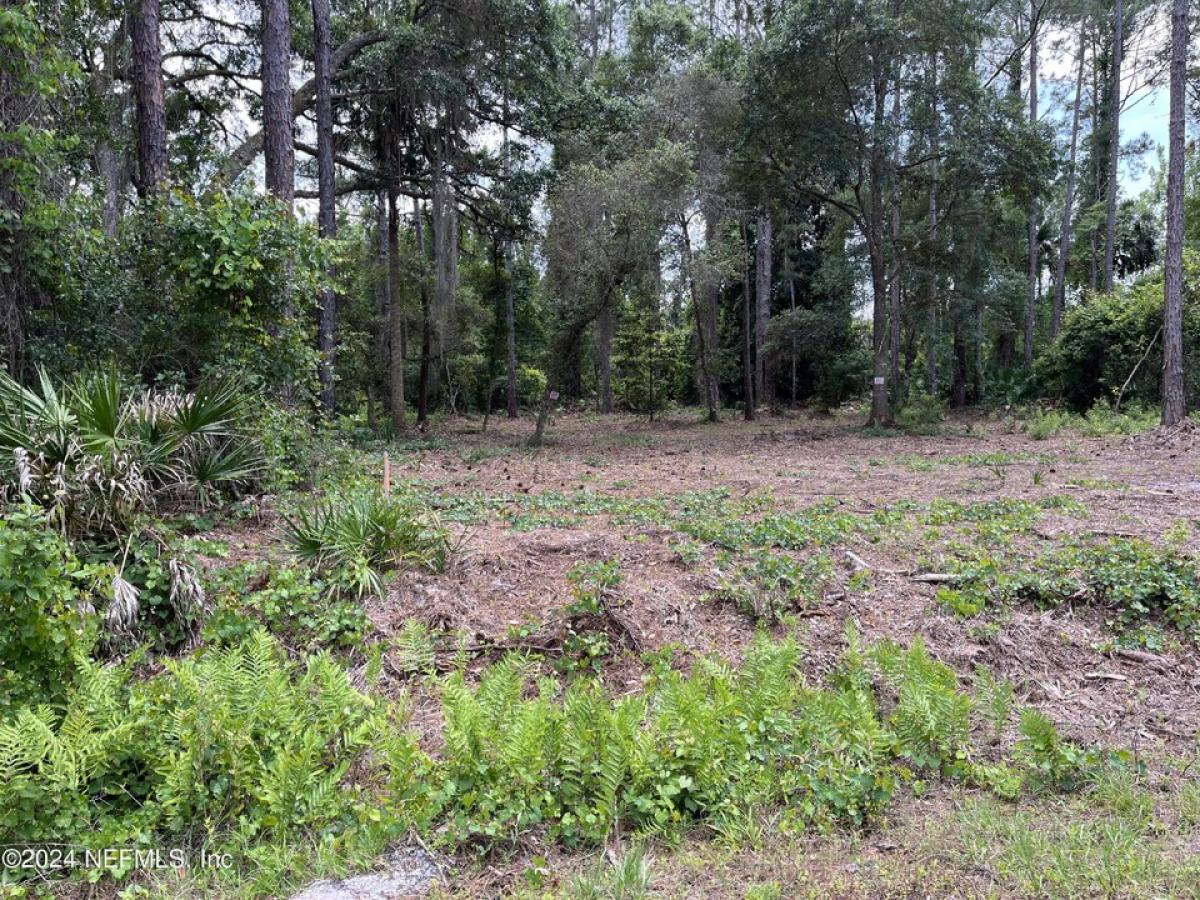 Picture of Residential Land For Sale in Georgetown, Florida, United States