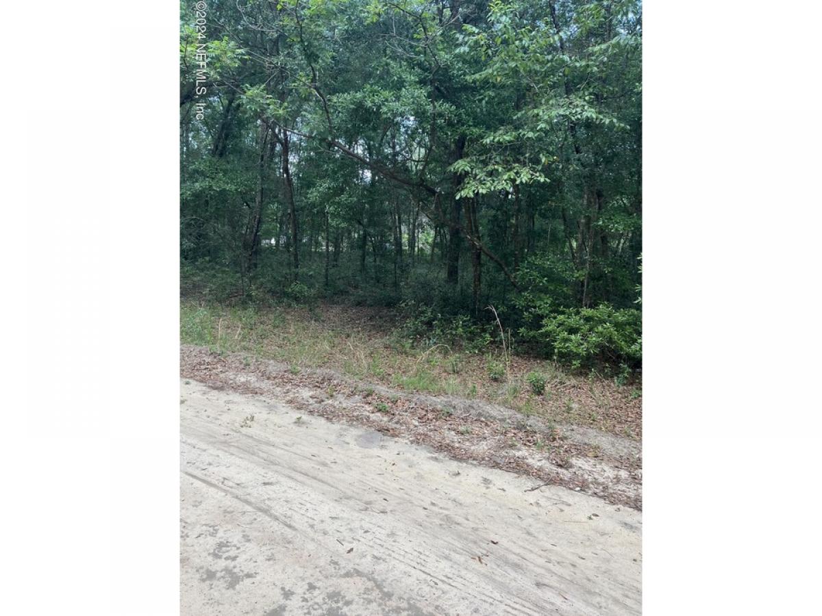 Picture of Residential Land For Sale in Interlachen, Florida, United States