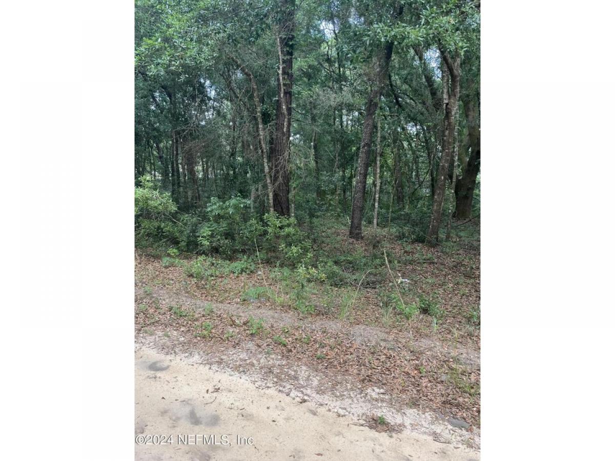 Picture of Residential Land For Rent in Interlachen, Florida, United States