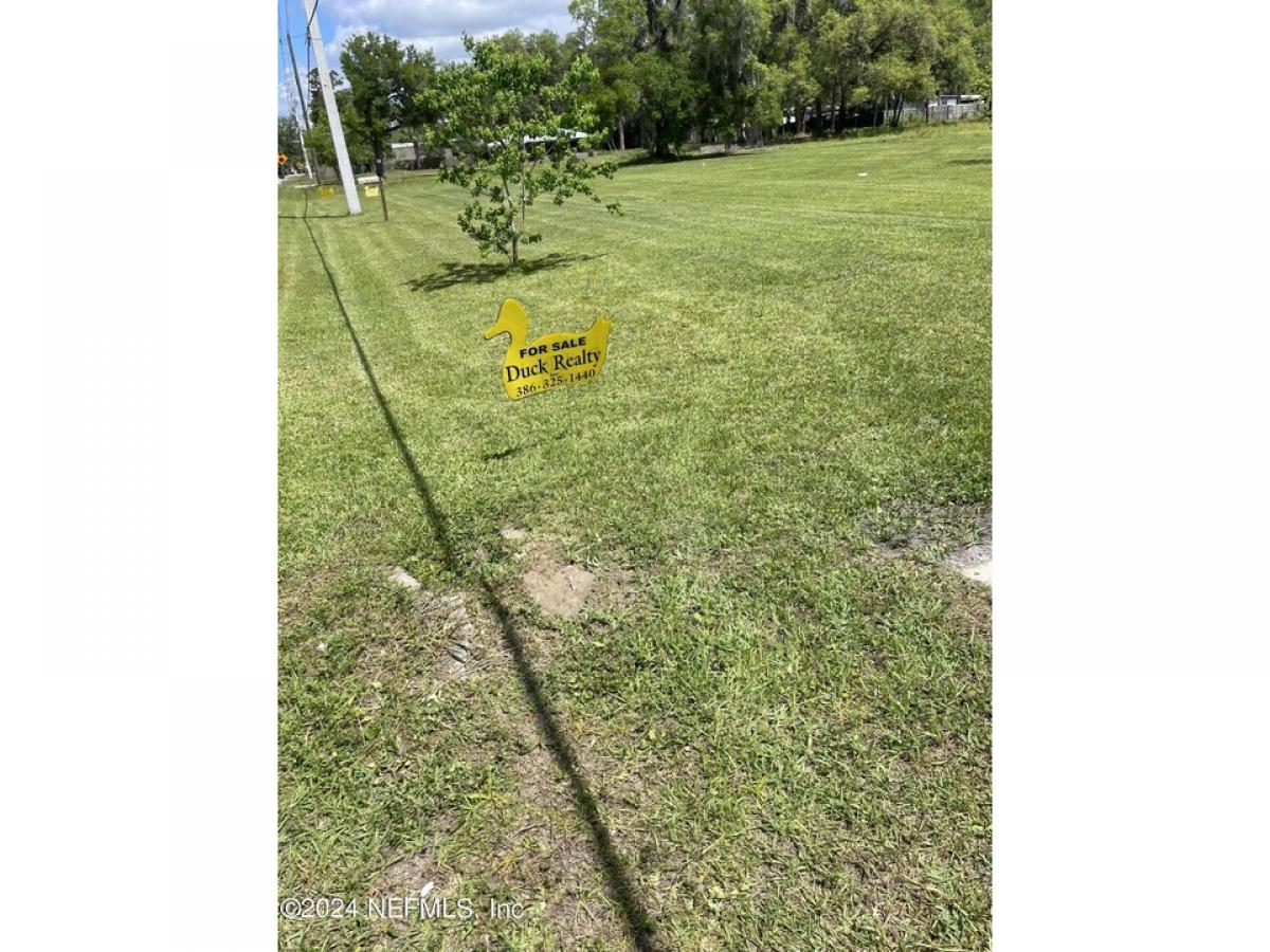 Picture of Residential Land For Sale in Satsuma, Florida, United States