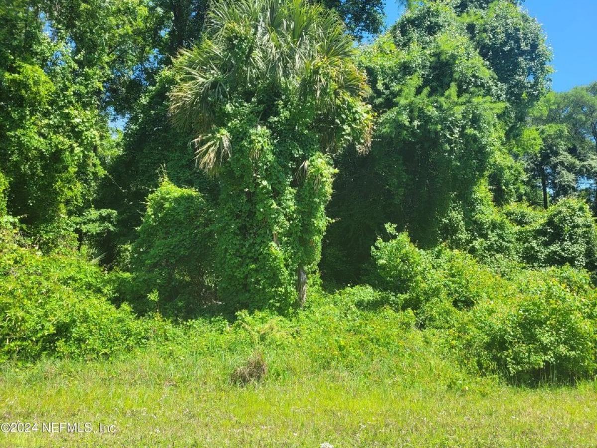 Picture of Residential Land For Sale in Georgetown, Florida, United States