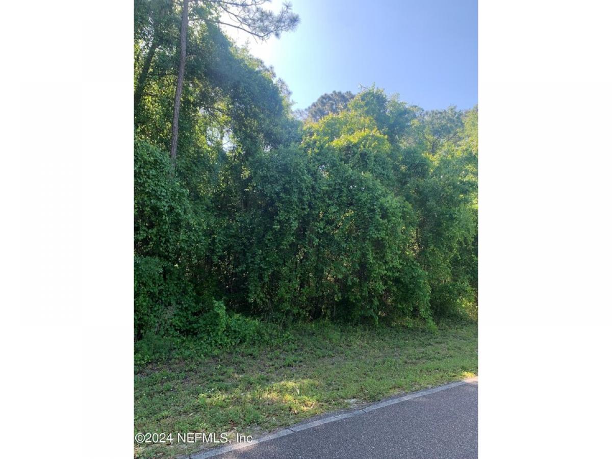 Picture of Residential Land For Sale in Interlachen, Florida, United States