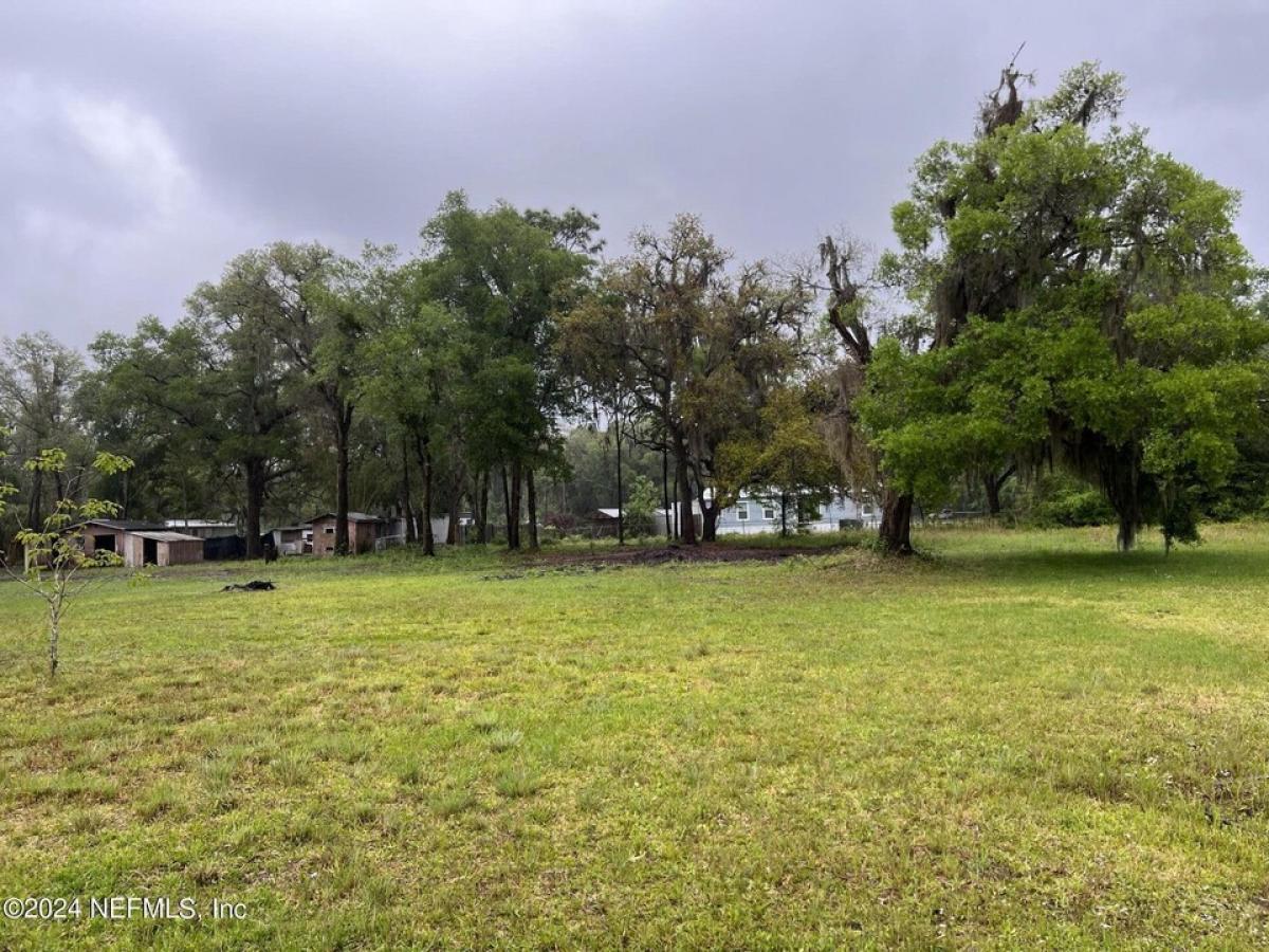 Picture of Residential Land For Sale in Satsuma, Florida, United States