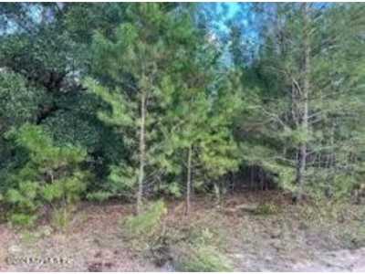 Residential Land For Sale in Hawthorne, Florida