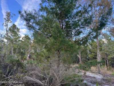 Residential Land For Sale in Hawthorne, Florida